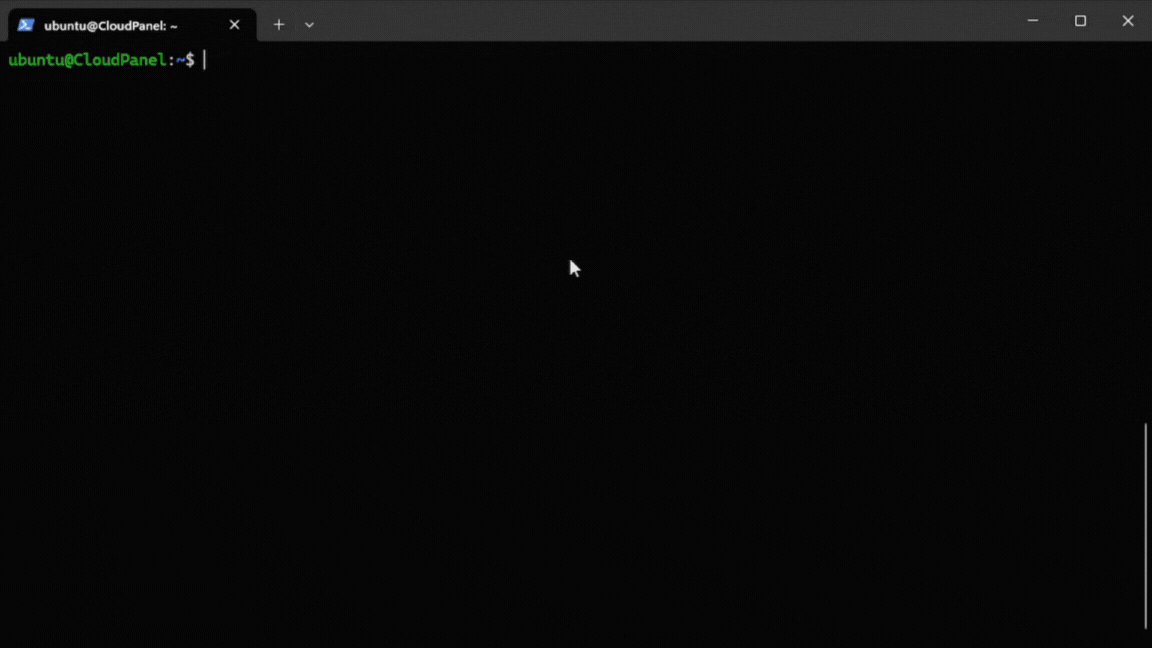 CloudPanel Update Install